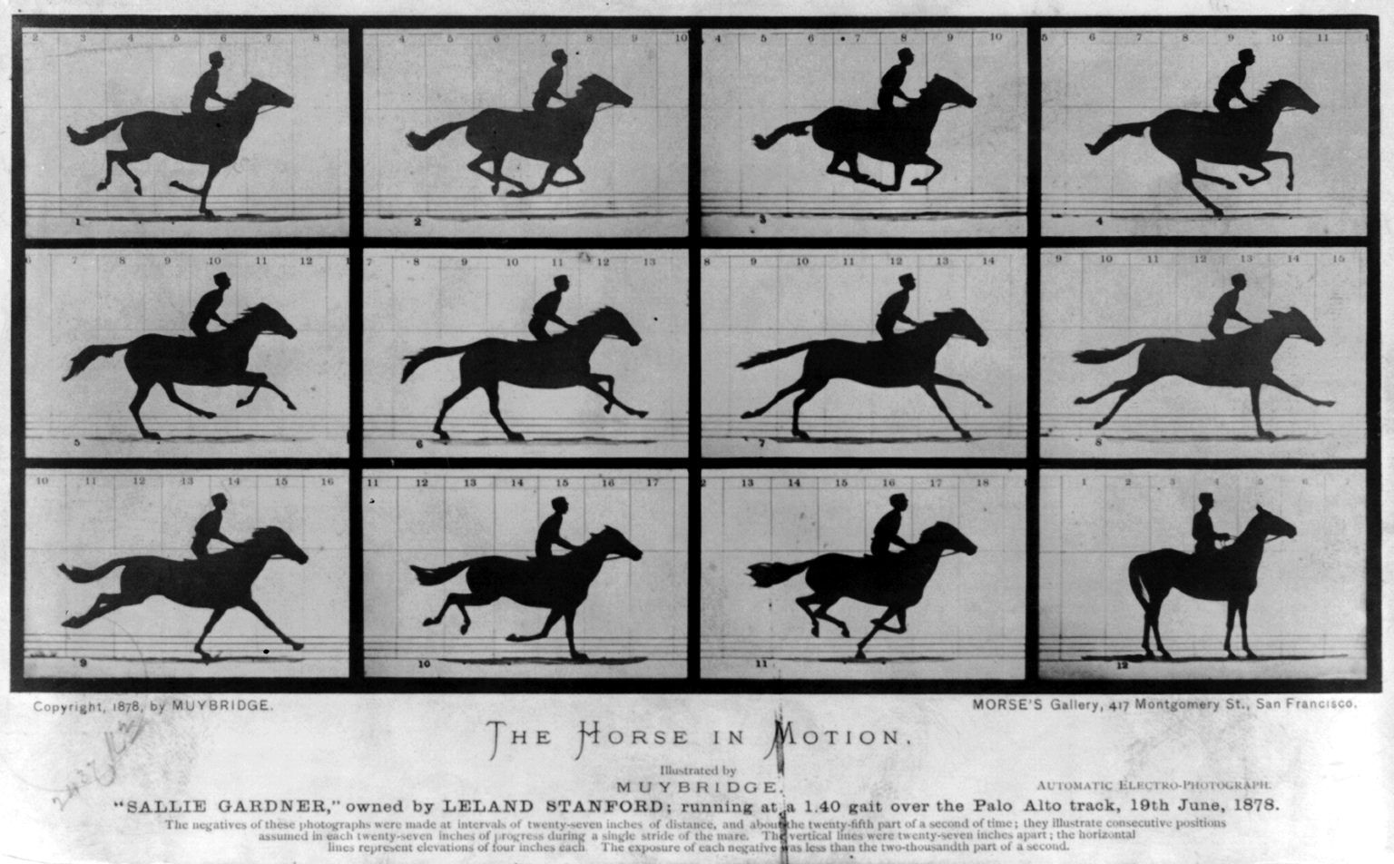 The Horse in motion. 'Sallie Gardner,' owned by Leland Stanford; running at a 1:40 gait over the Palo Alto track, 19th June 1878